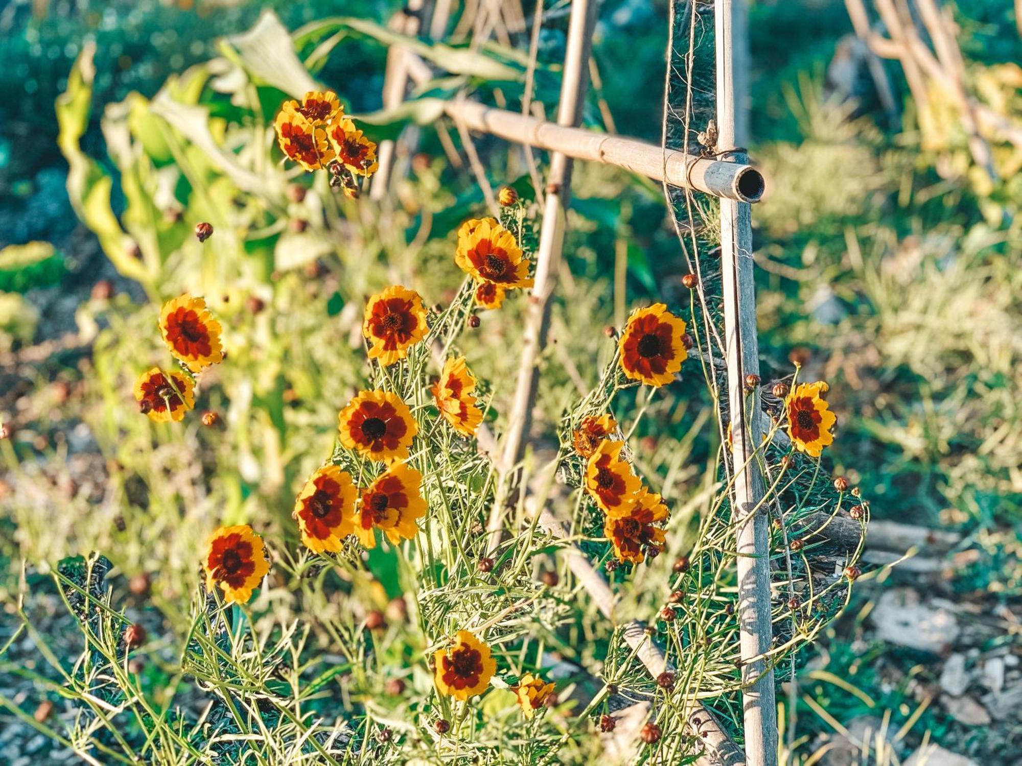 Stay At Pachamama Community Alcácer do Sal Pokój zdjęcie